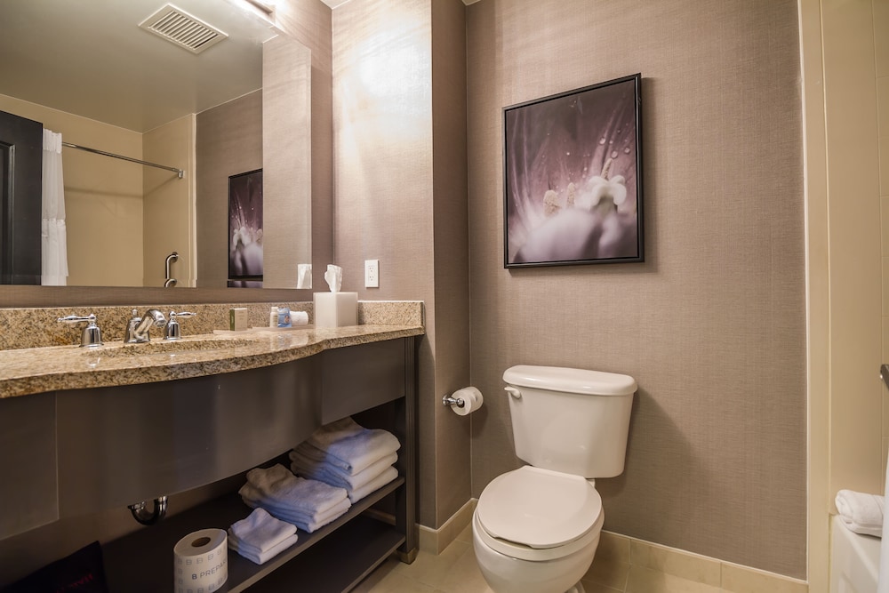 Tryp By Wyndham Savannah 19/60