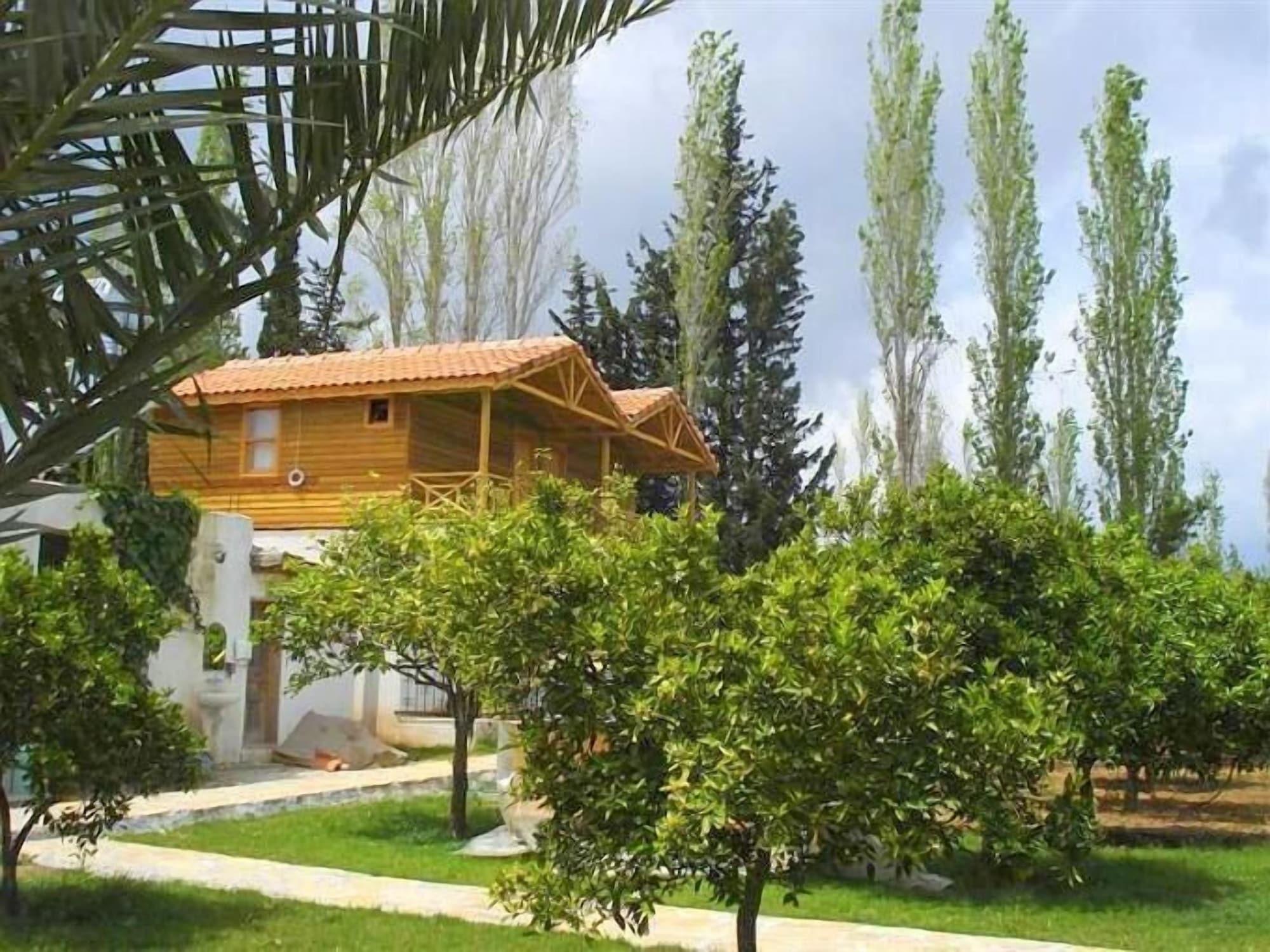 Portakal Bahcesi 26/35