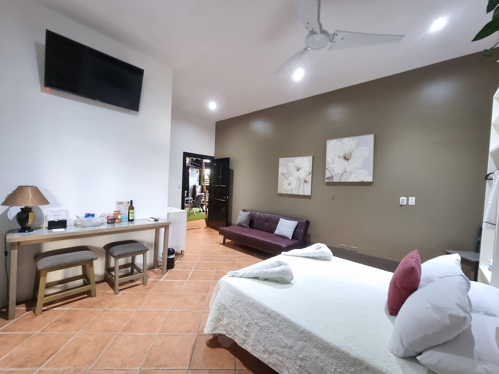 جناح اقتصادي بسرير كينج، Hotel Vos 7/8