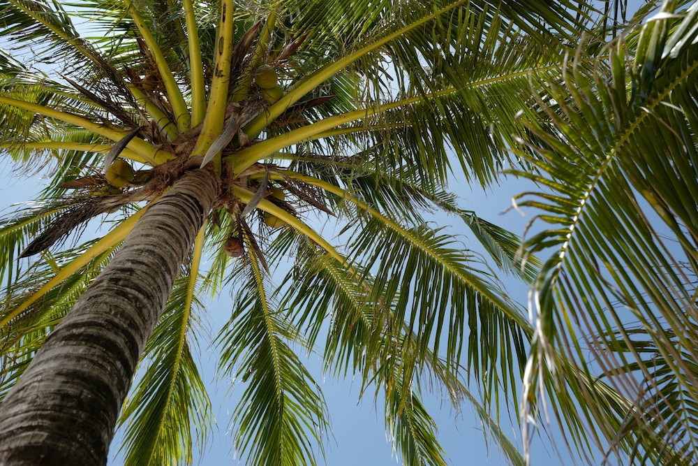 Nature Beach Resort 59/70