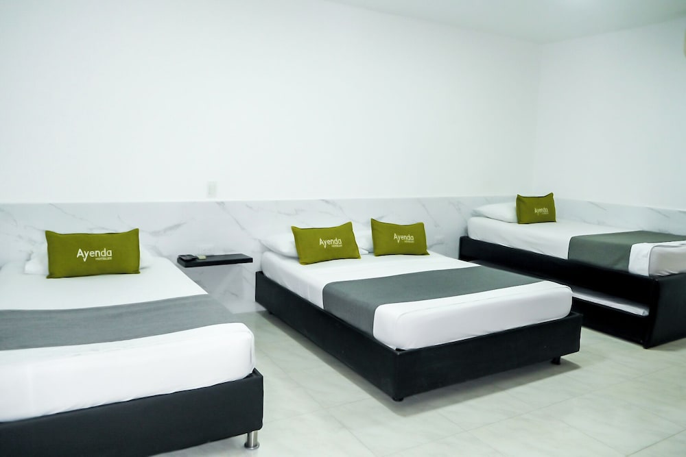 Family, 1 Double and 4 Single Beds