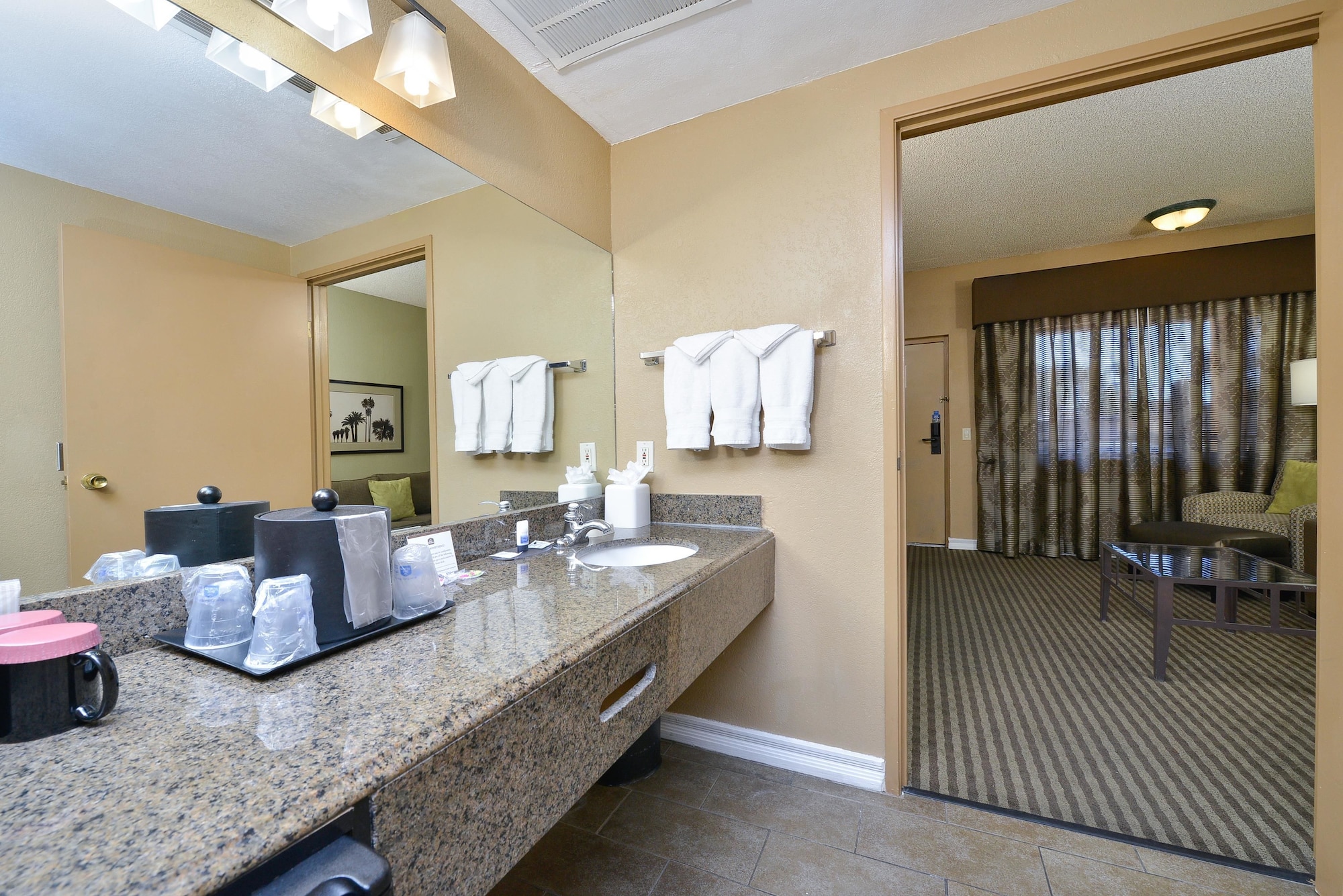 غرفة قياسية بسرير كينج، Royal Sun Inn & Suites 9/9