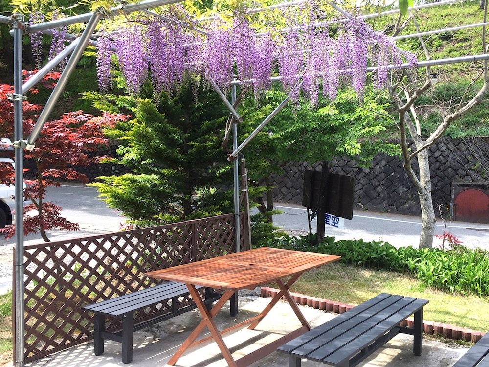 Sakura Guest House - Hostel 4/58