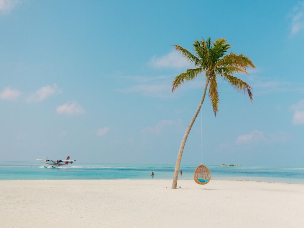 Cocoon Maldives 202/204