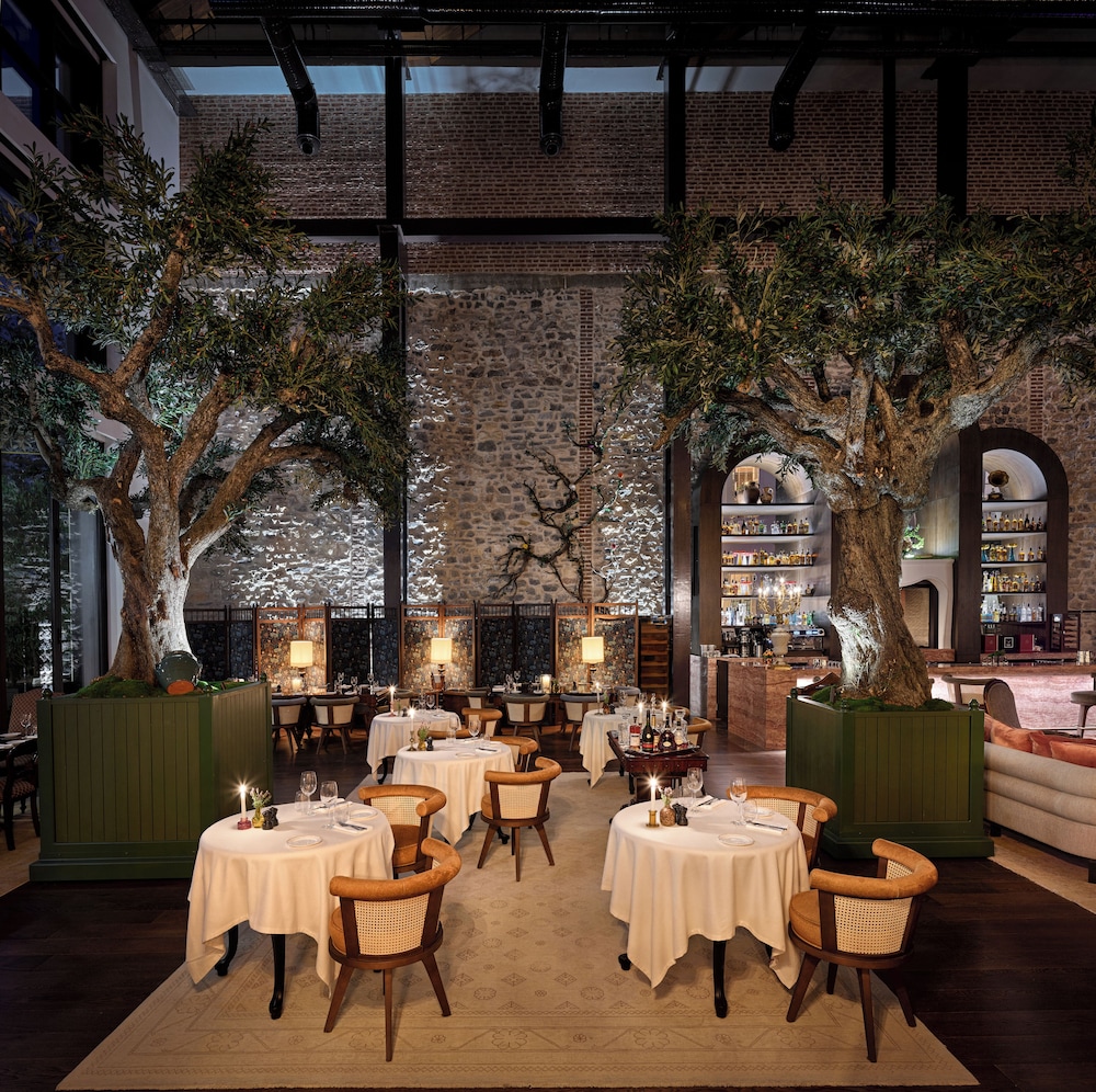 Aliee Istanbul - A Paris Society Collection Hotel 55/65