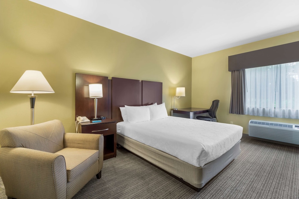 Standard, Queen Bed, Best Western Plus Plaza by the Green 6/9