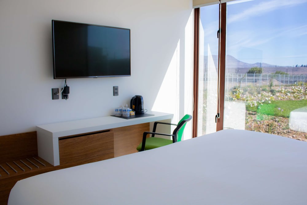 Park Inn By Radisson Los Olivos De Vallenar 12/37