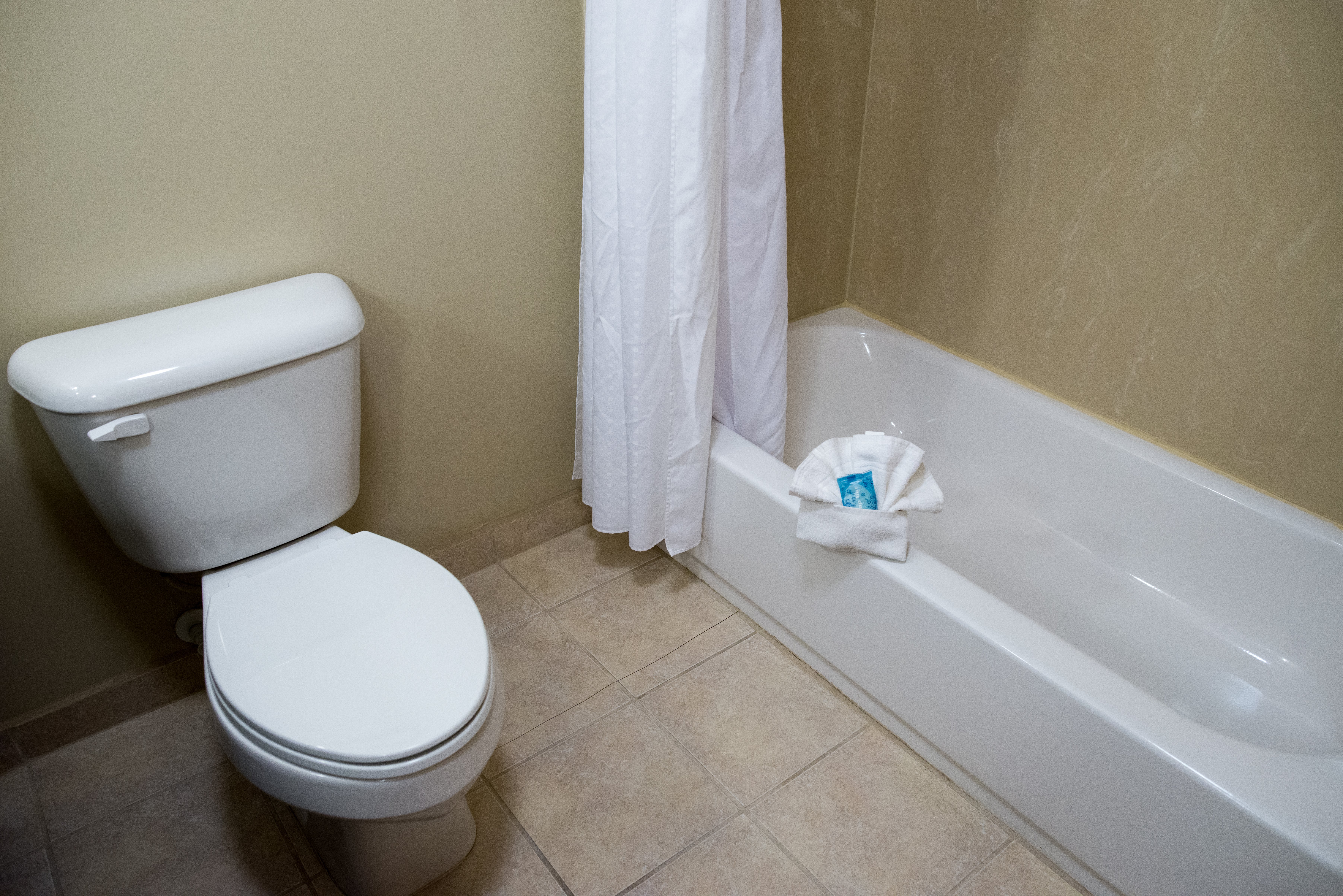 HOLIDAY INN EXPRESS HOTEL & SUITES ALBERT LEA - I-35 58/59