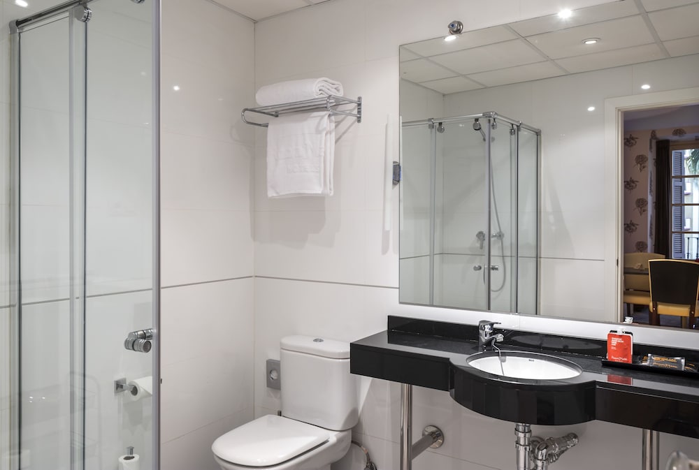 Hotel Larios Malaga 15/66