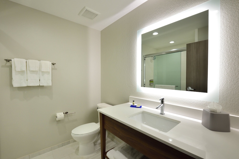 Holiday Inn Express and Suites Houston North Woodlands Area 24/70