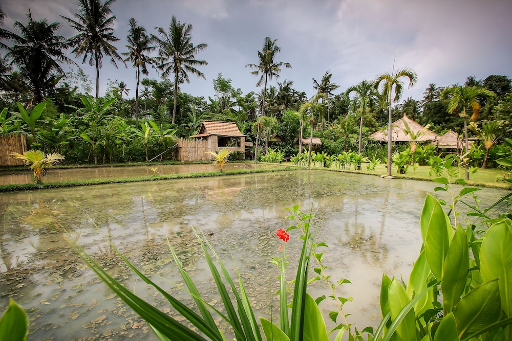 Keramas Sacred River Village 41/50