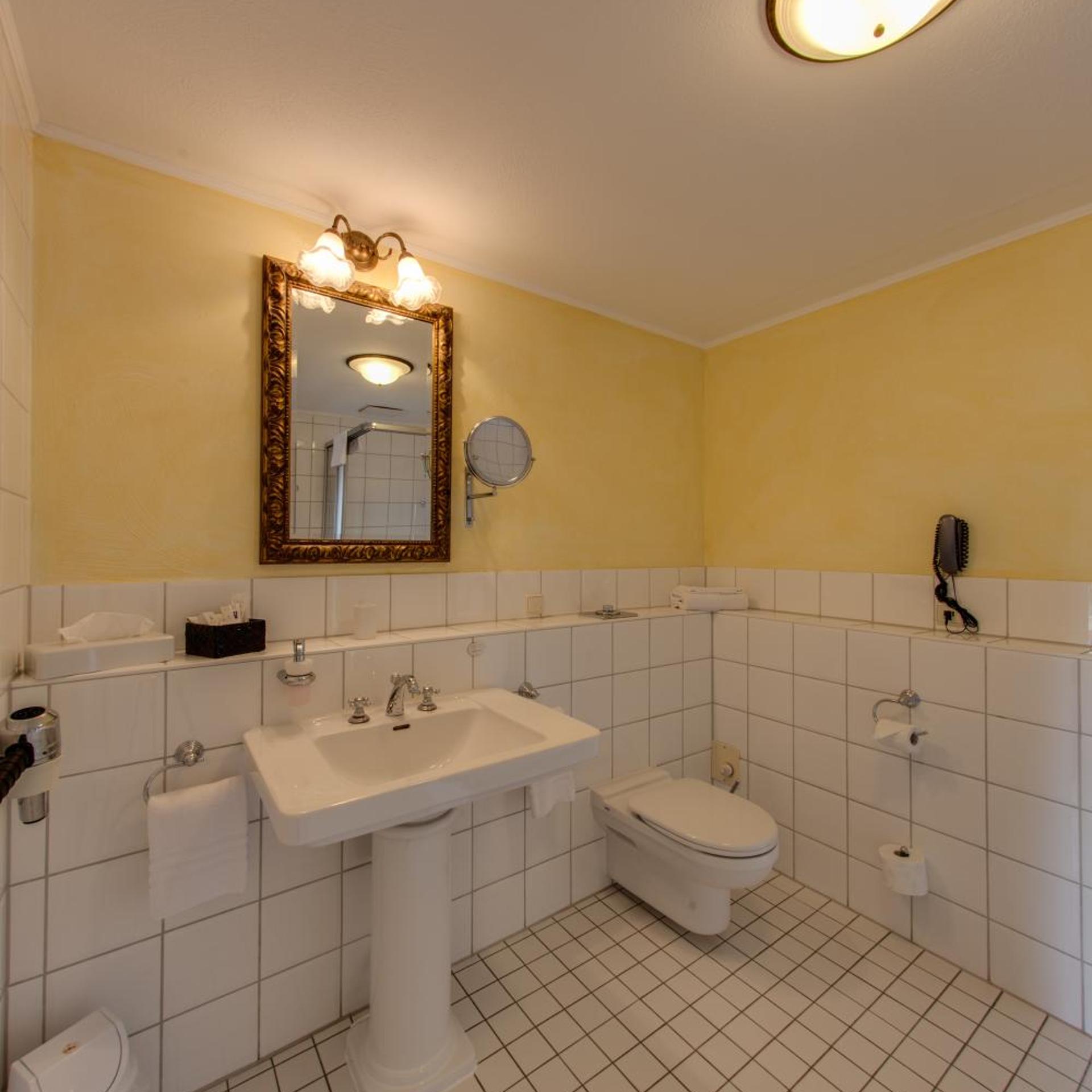 غرفة قياسية مفردة، Hotel Landhaus Milser 14/15