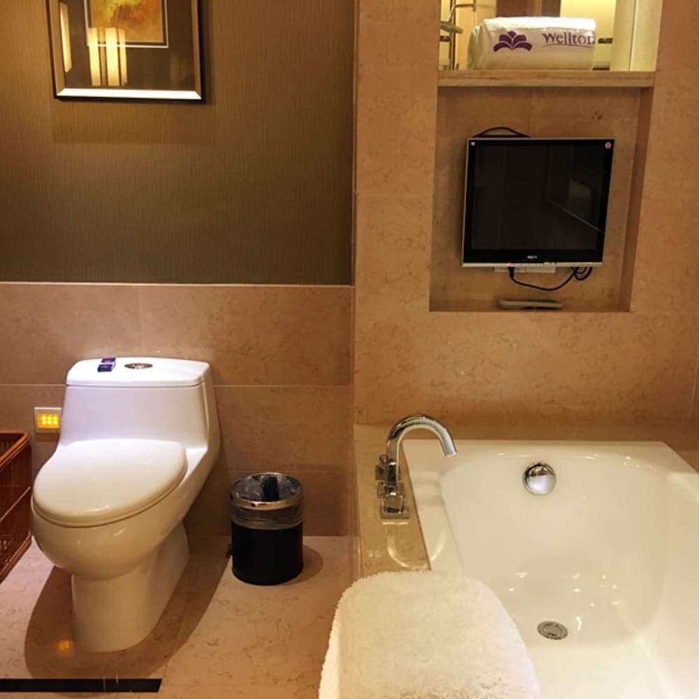 Wellton International Hotel 45/50