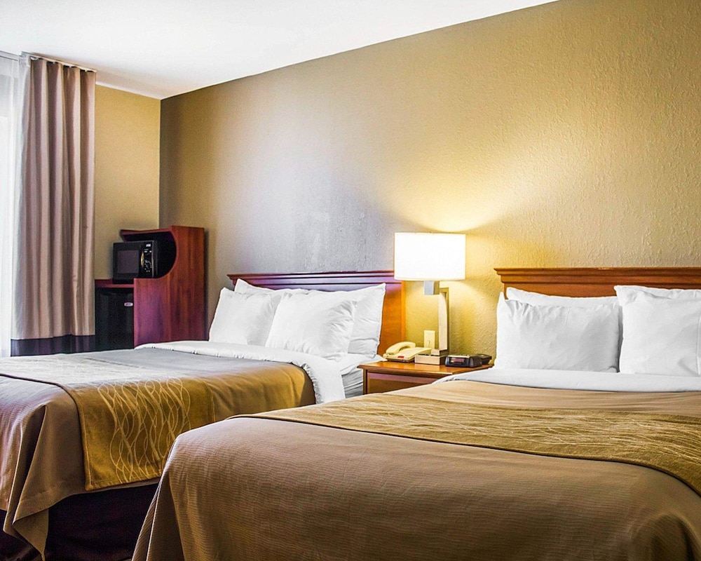 Spark by Hilton Guilford 20/64