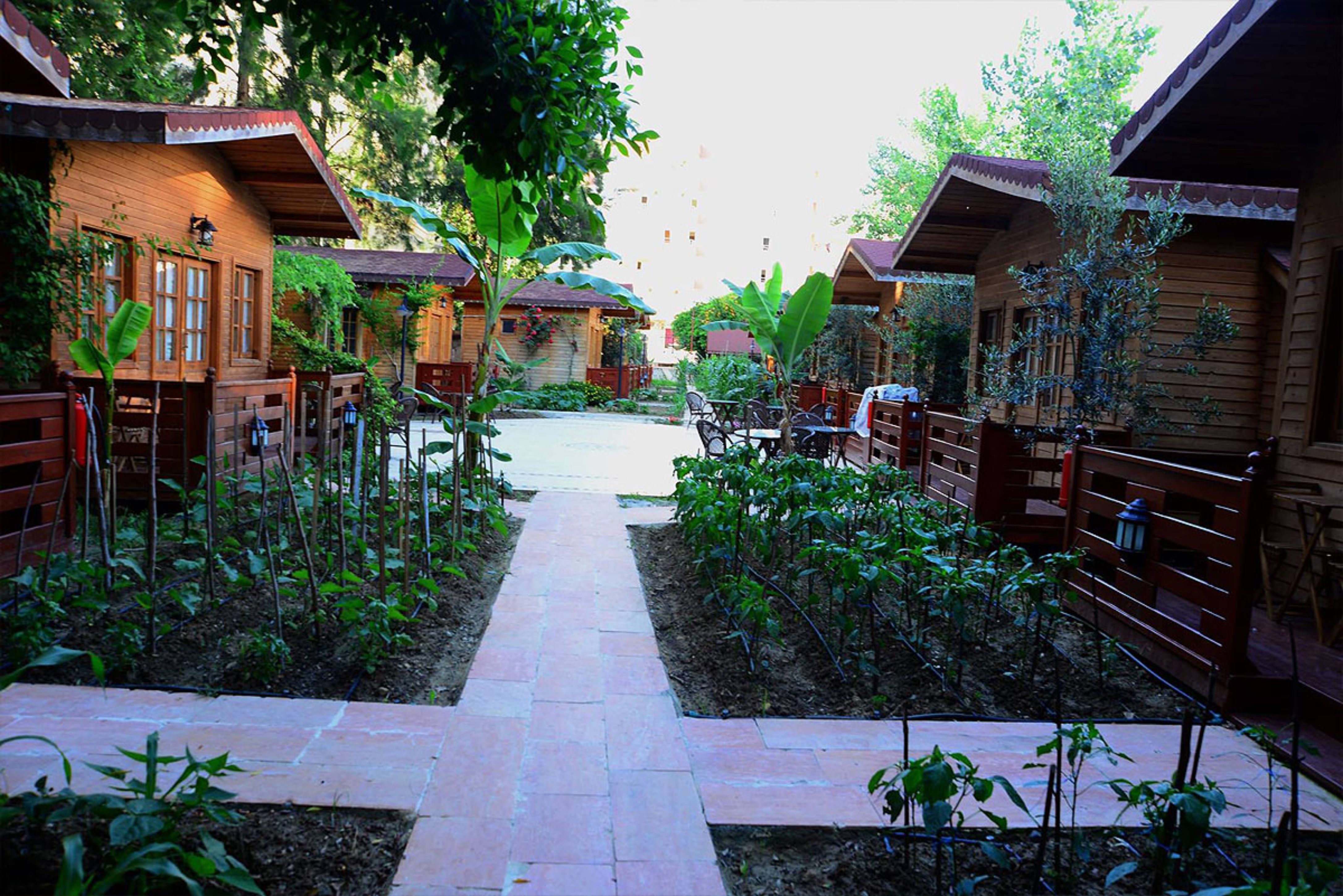 Sevki Bey Hotel 5/50