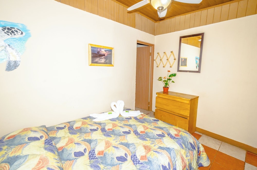 Hotel Playa Samara 8/50