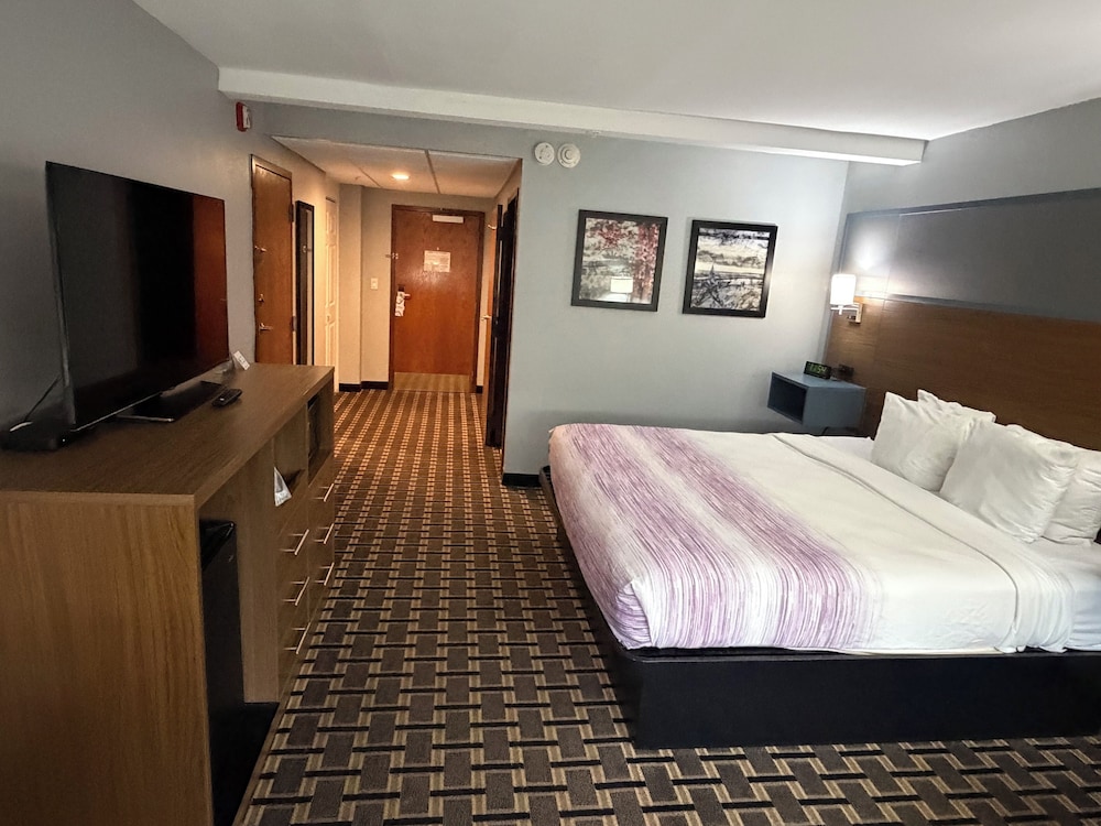 Room, King Bed, Accessible