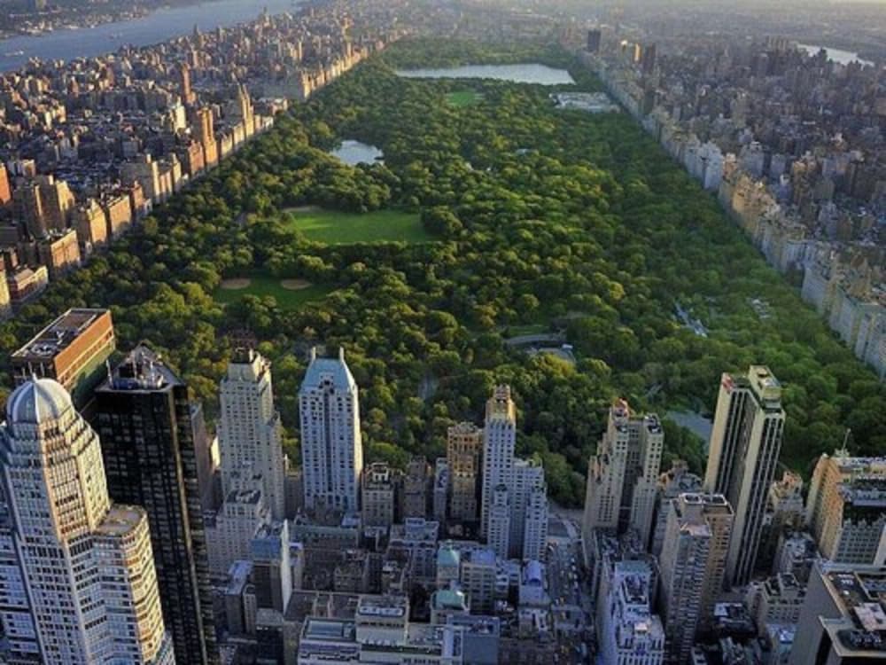 Sofitel New York 63/67