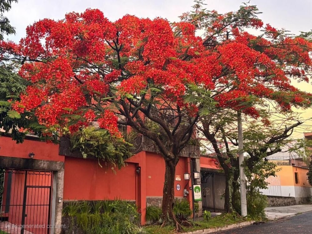 Arbol de Fuego 59/63