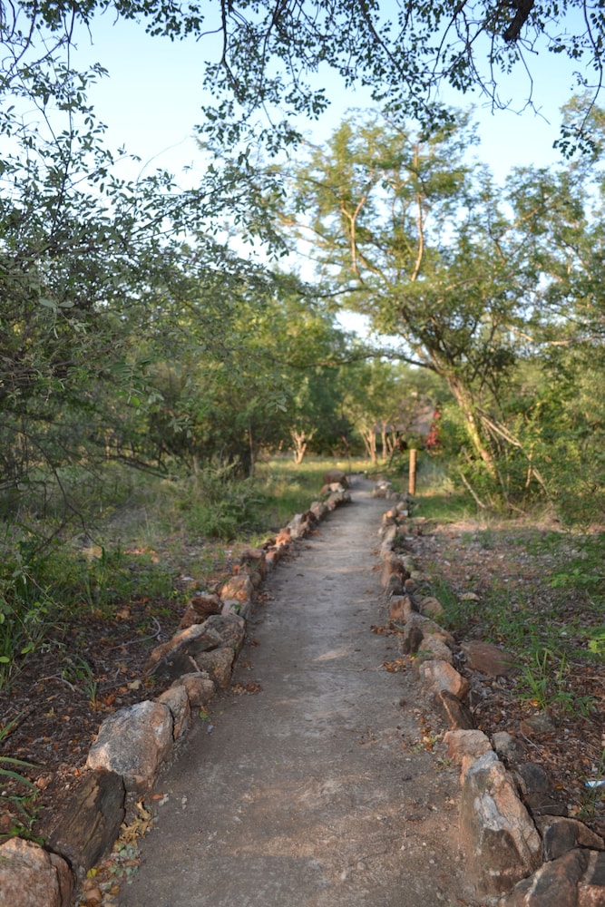 Mali Mali Safari Lodge 42/50