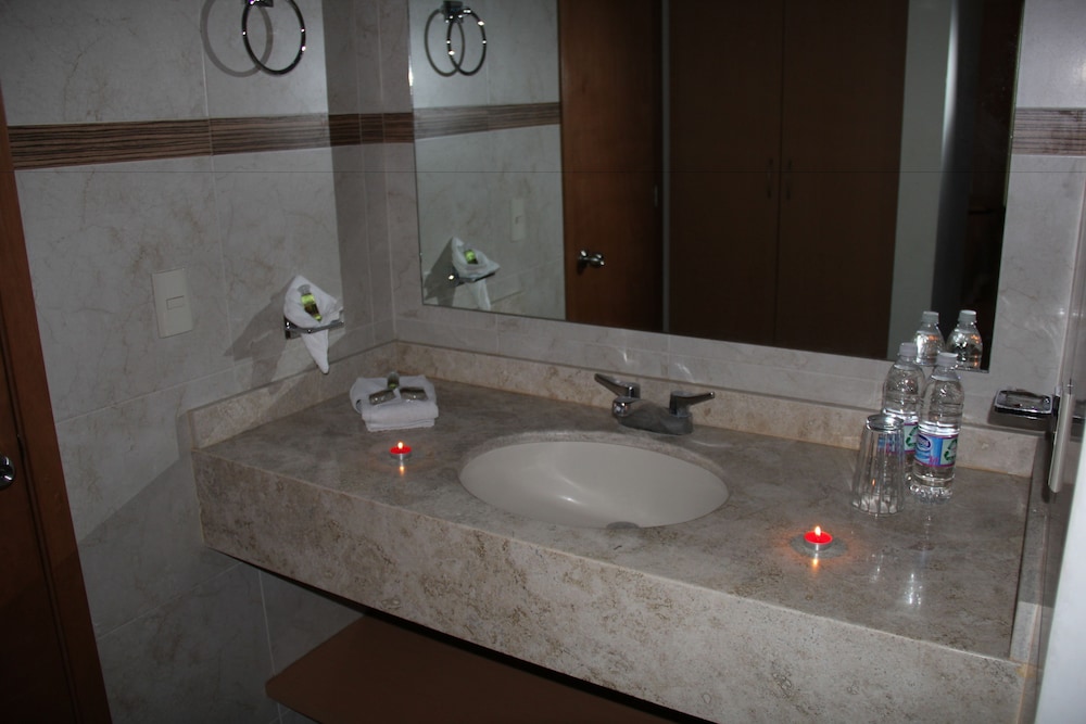 Hotel Real Zapopan 8/44