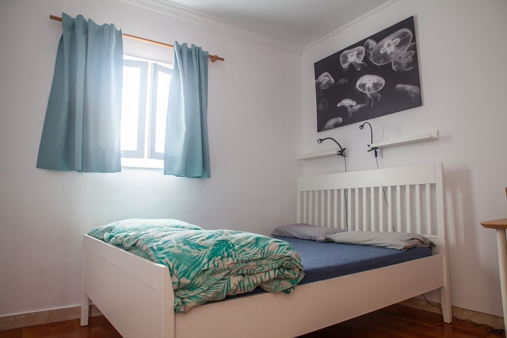 Avocado Surf Hostel 14/50