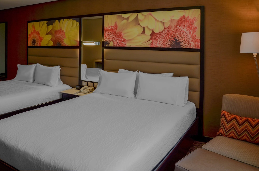 Hilton Garden Inn Guatemala City 14/58