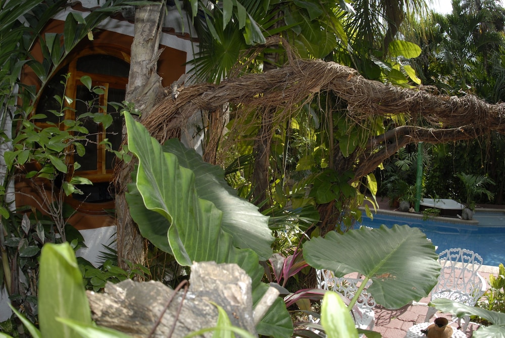 Eco Hotel El Rey del Caribe 45/50