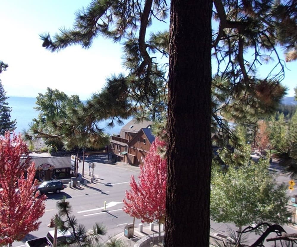 Pepper Tree Inn 20/35