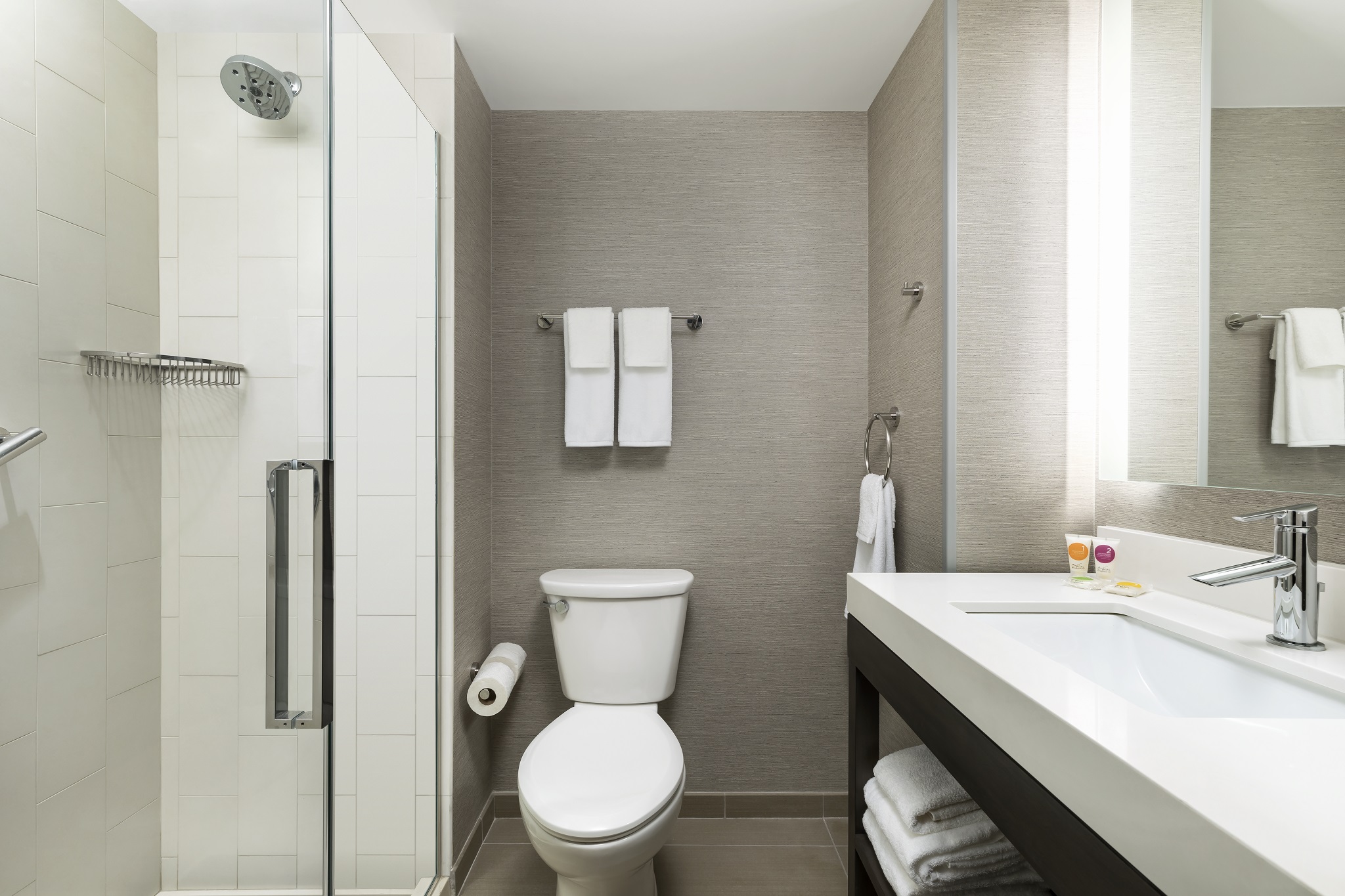 Accessible King Bed Rollin Shower (Plus Sofa Bed)