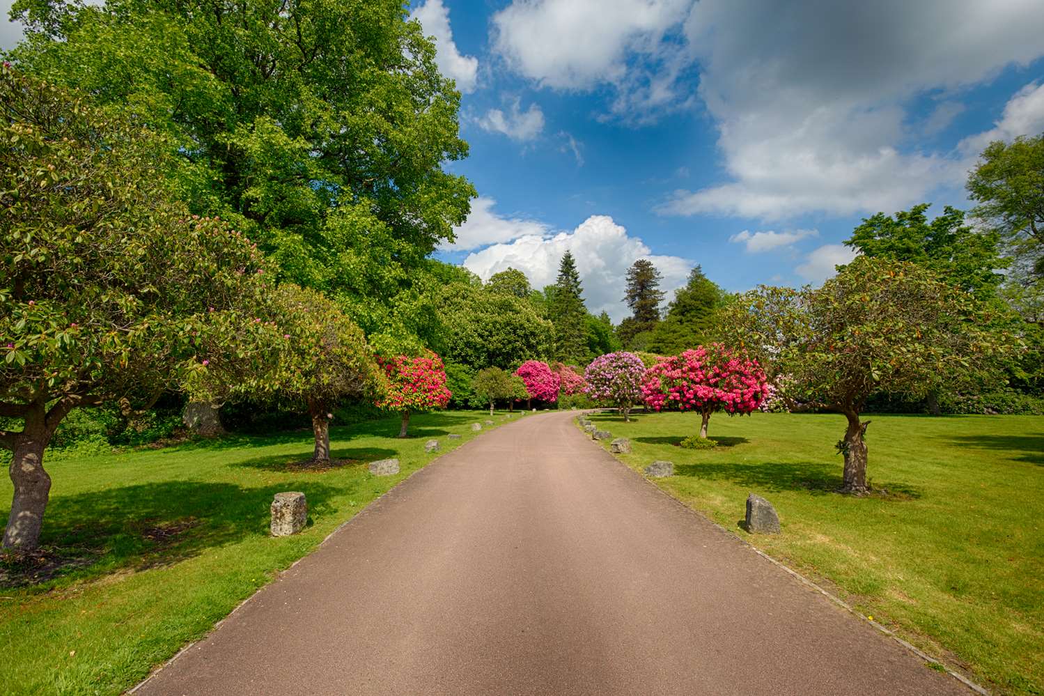 Best Western Chilworth Manor Hotel 50/53