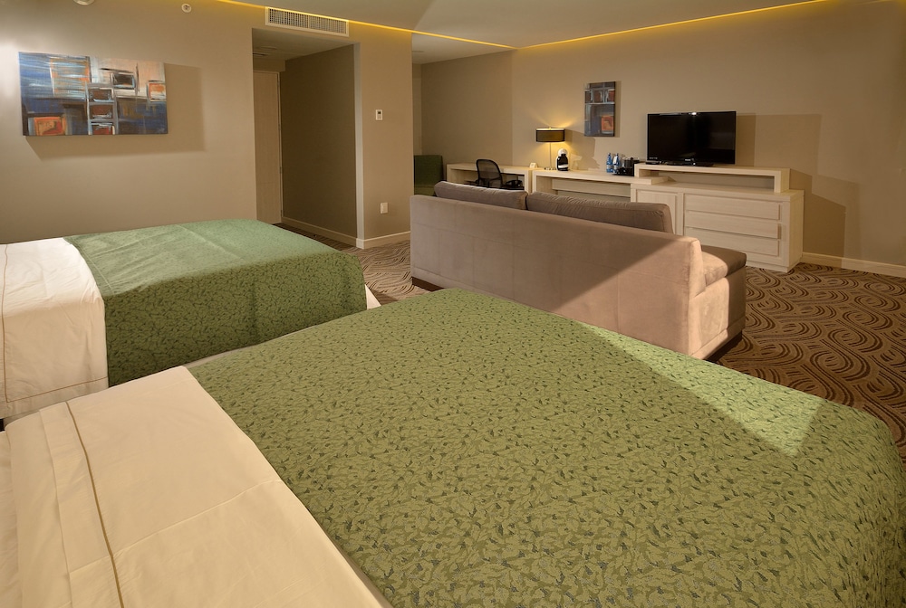Holiday Inn Express Pachuca 23/57