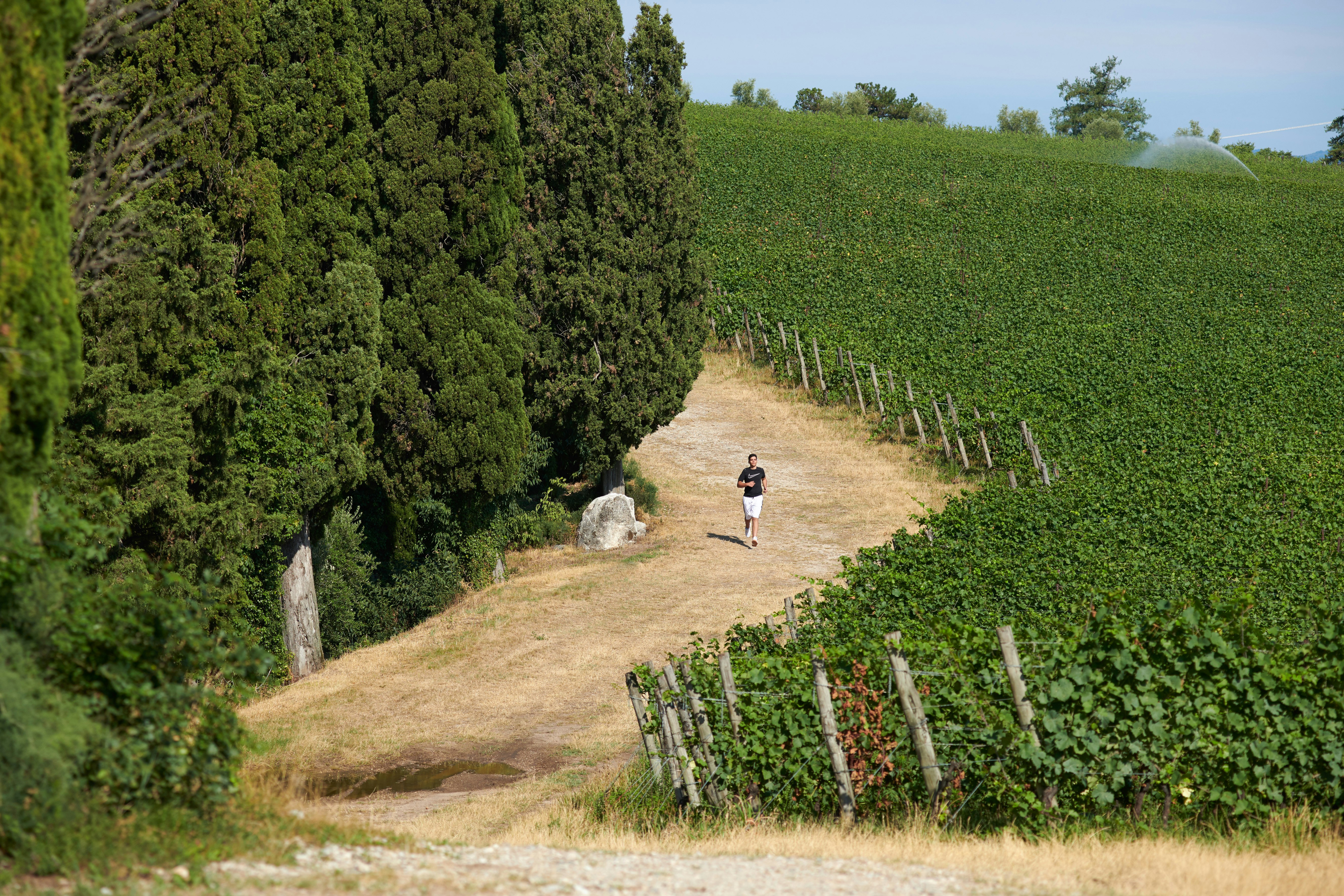 Villa Cordevigo Wine Relais 49/52