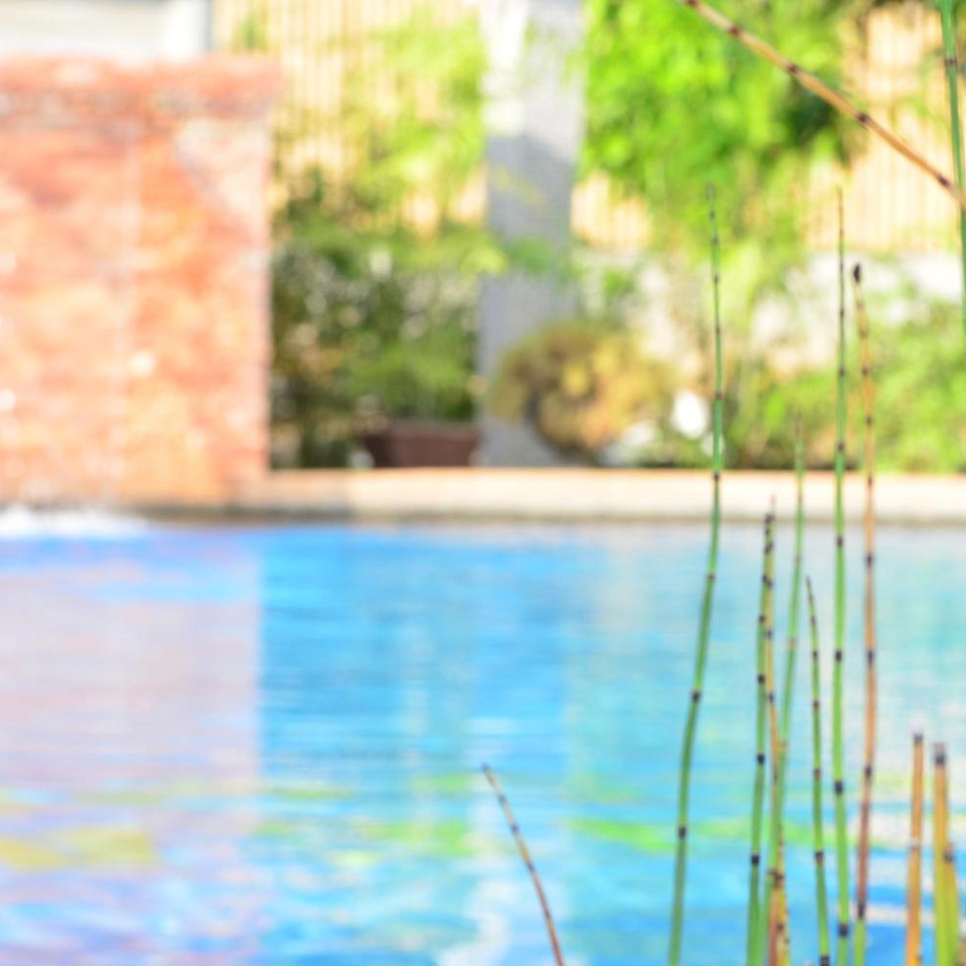 Zen Rooms Veraneante Resort Bohol 77/79