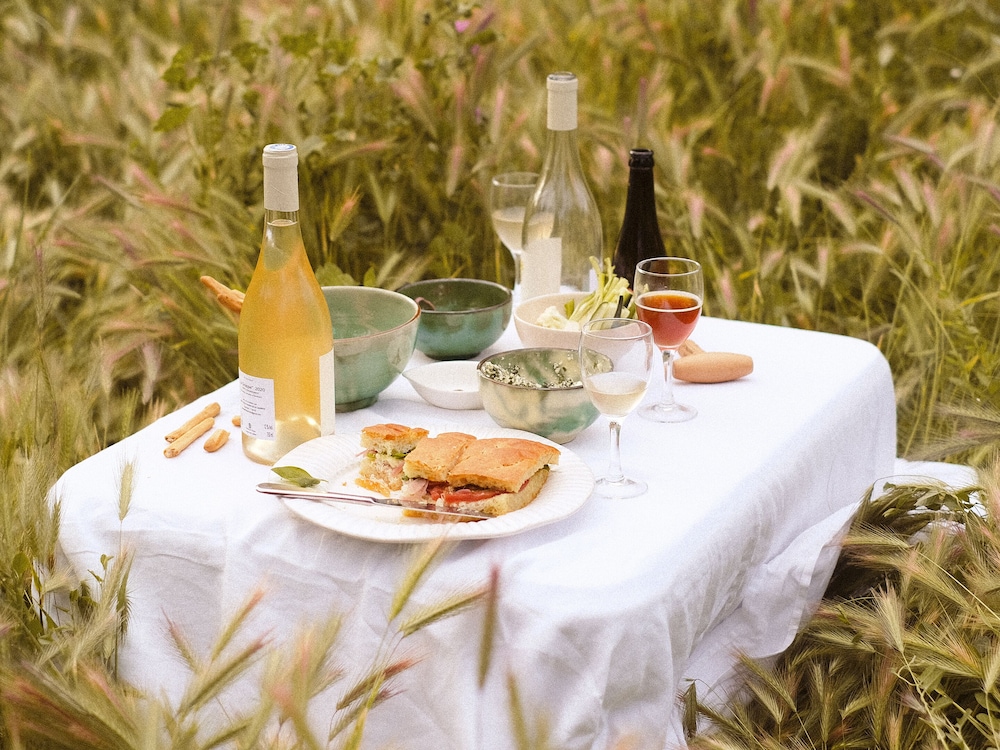 Le Galinier Lourmarin, a Beaumier Guesthouse 41/50