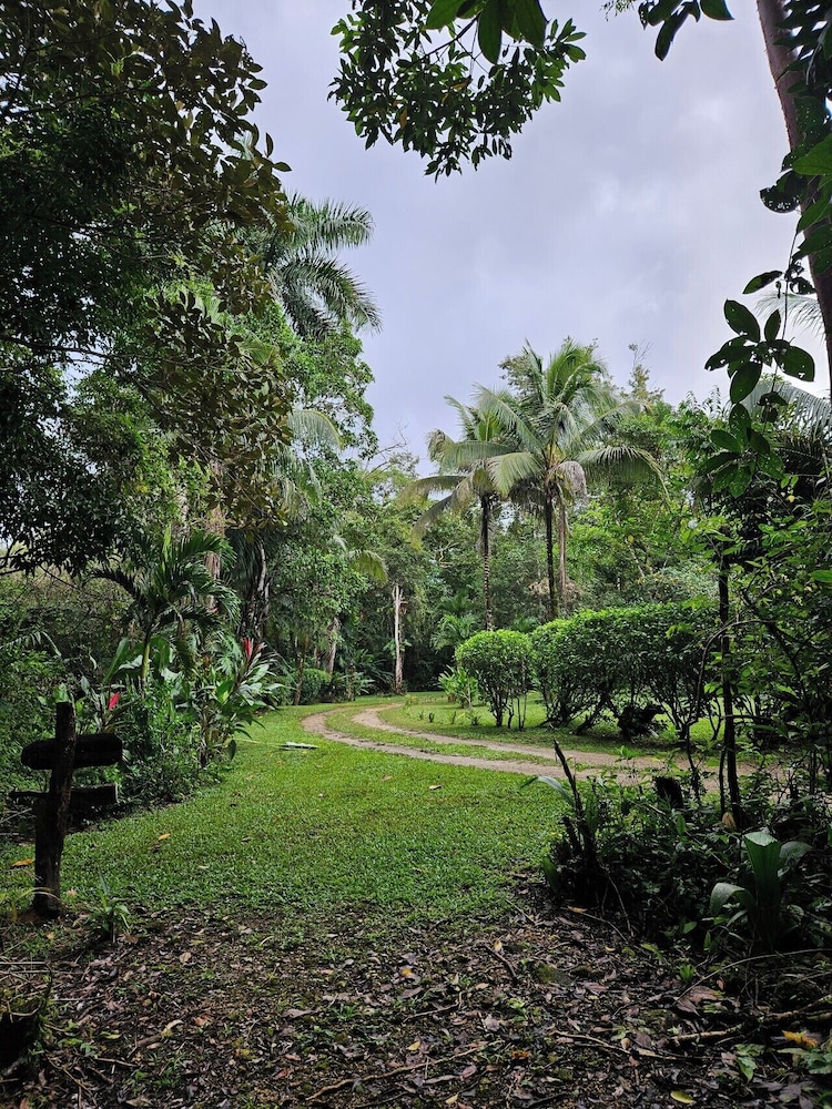 surroundings