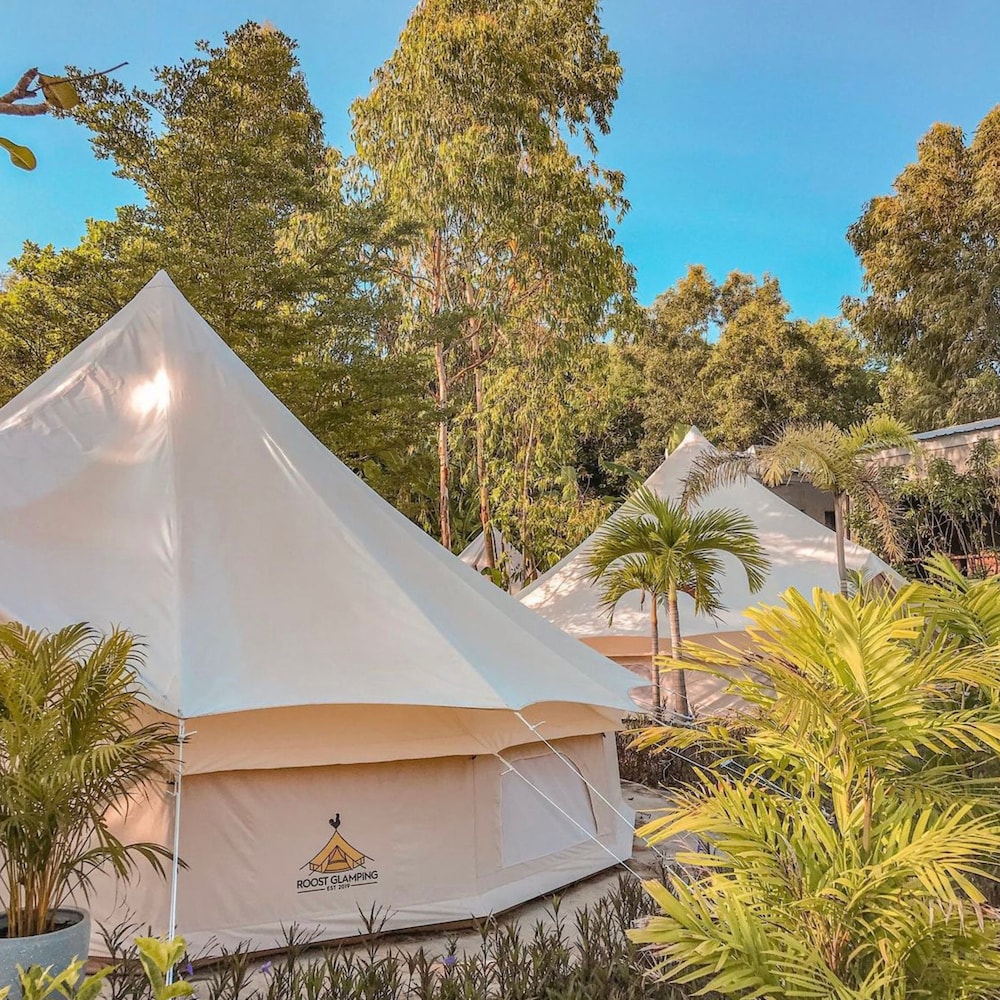 Roost Glamping 38/49