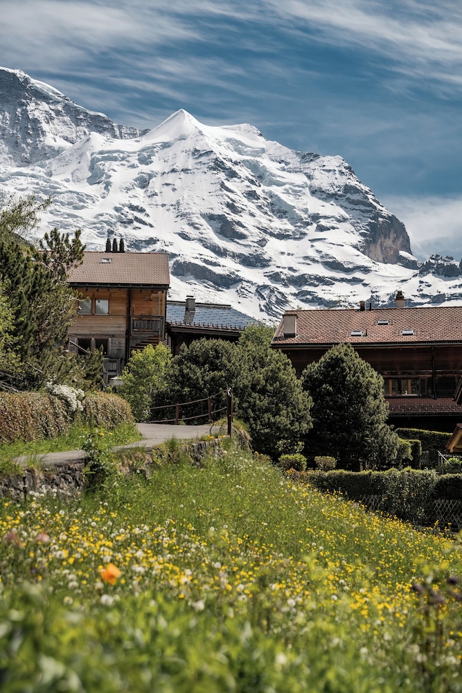 Alpine Hotel Wengen 56/59