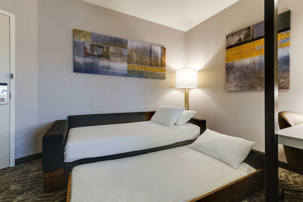 SpringHill Suites by Marriott Cheraw 13/39