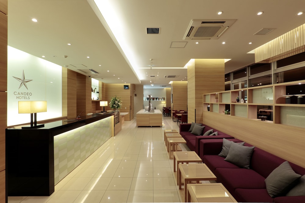 Candeo Hotels Shizuoka Shimada 38/50