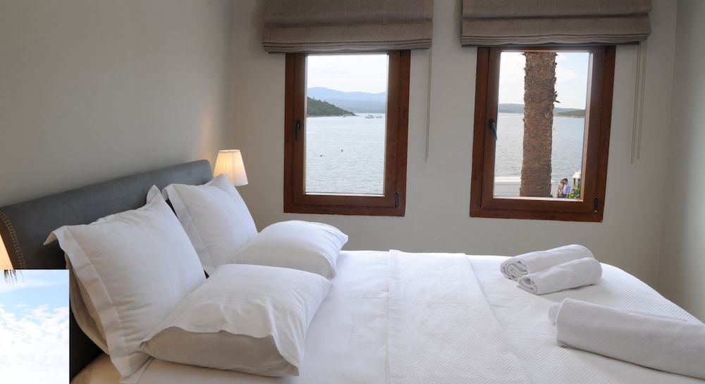 Teos旅馆Pansiyon & Restaurant(Teos Lodge Pansiyon & Restaurant) 图片3