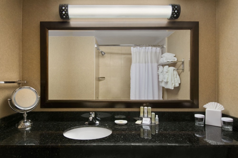 Crowne Plaza Denver Airport Convention Ctr, an Ihg Hotel 14/41