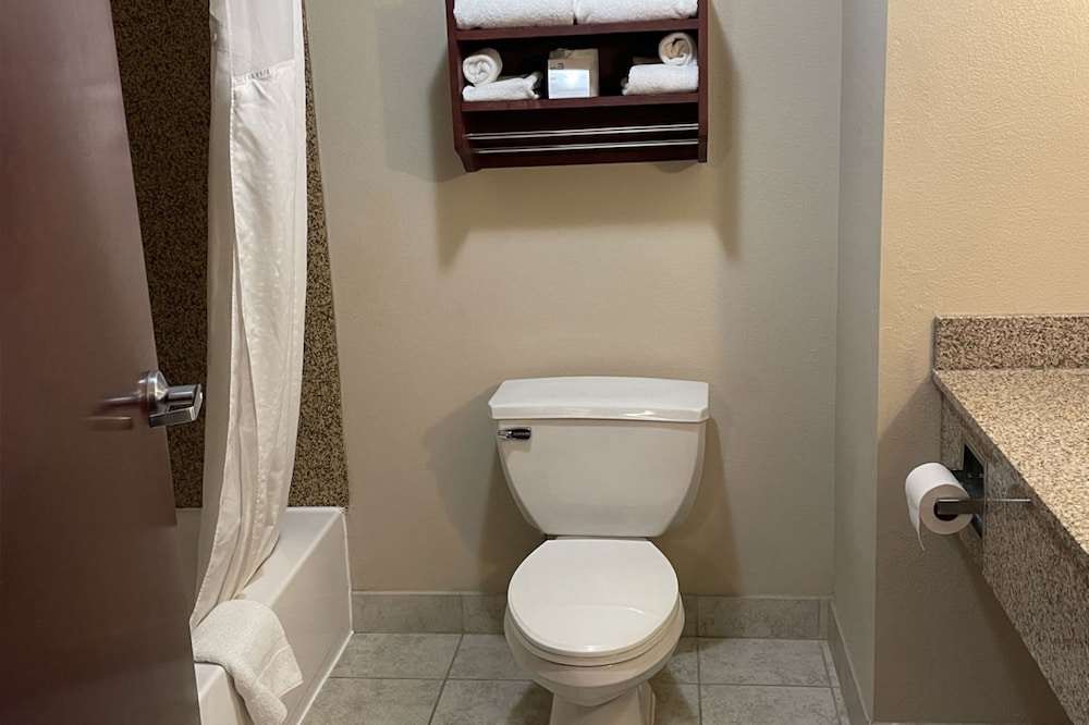 Holiday Inn Express Hotel Suites Niagara Falls 16/75