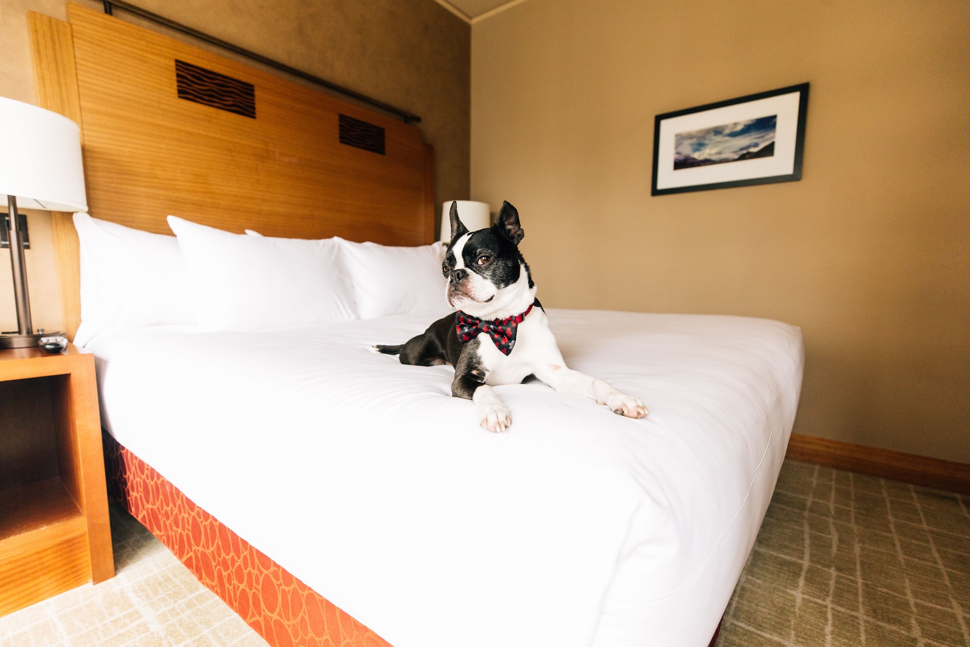Room, King Bed, Bay View, Grand Hyatt Seattle 3/5