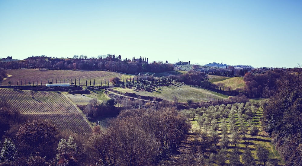 Bio-Agriturismo La Ginestra 31/50