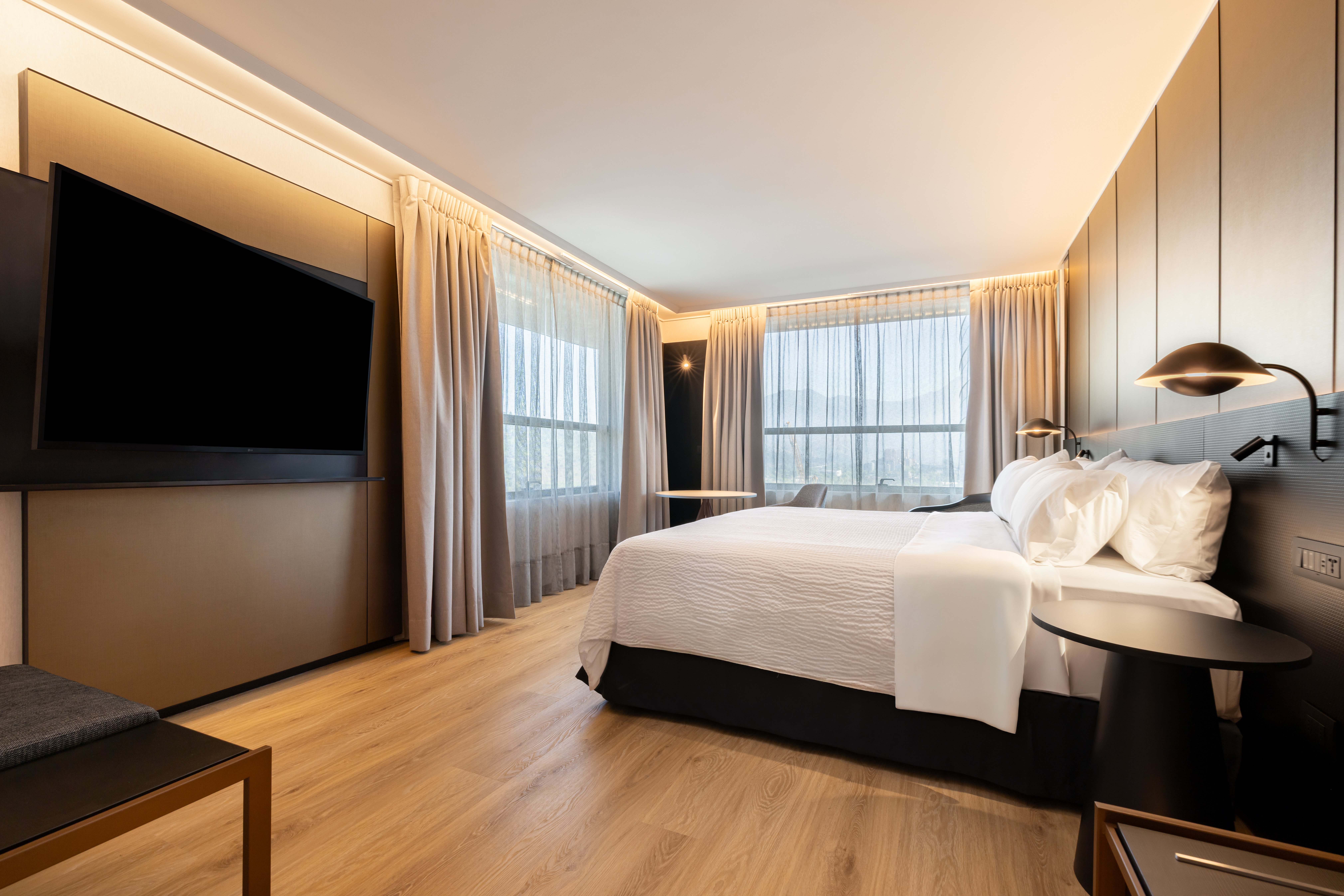 Standard, King Bed, Mountain View
