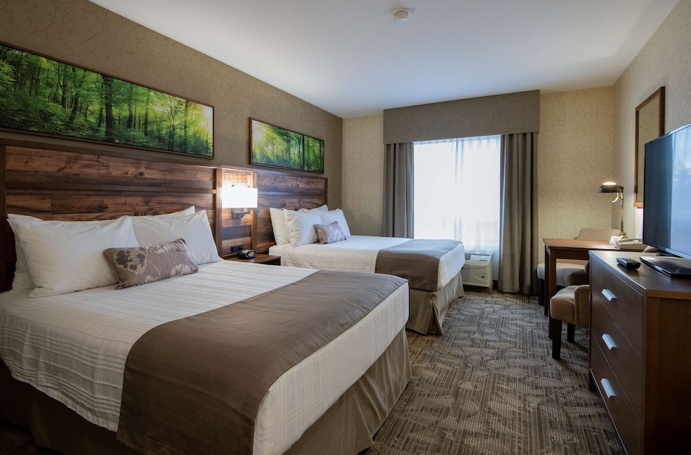 Best Western Plus Valemount Inn & Suites 27/65