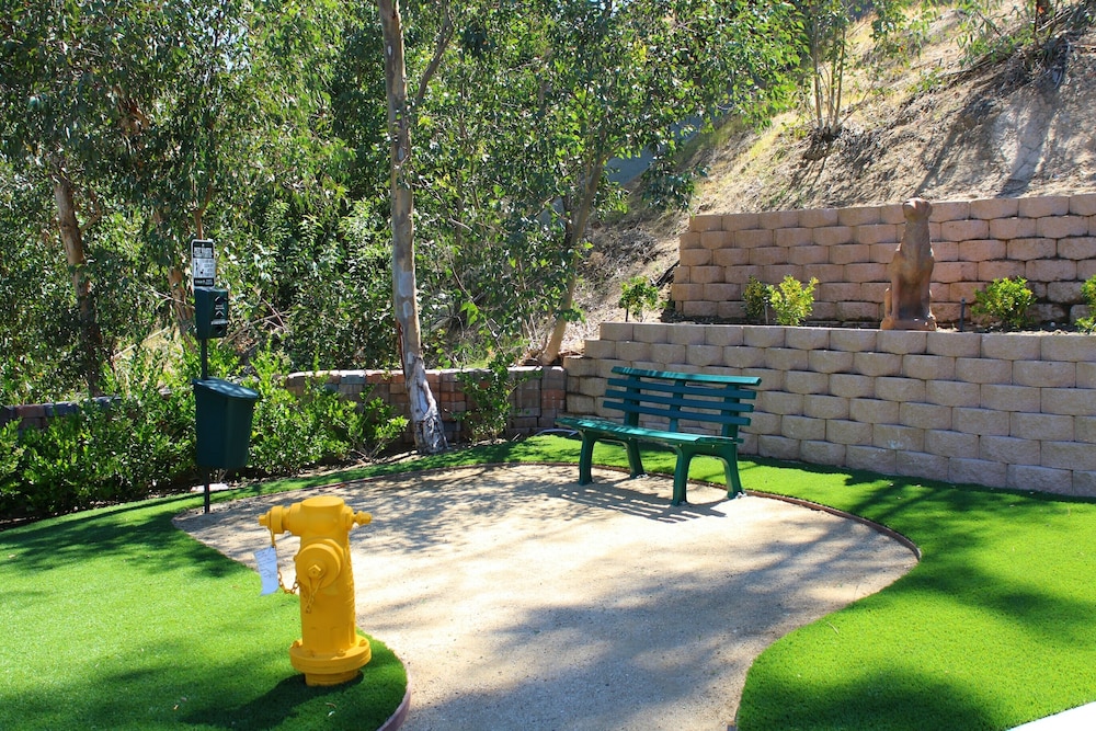 surroundings