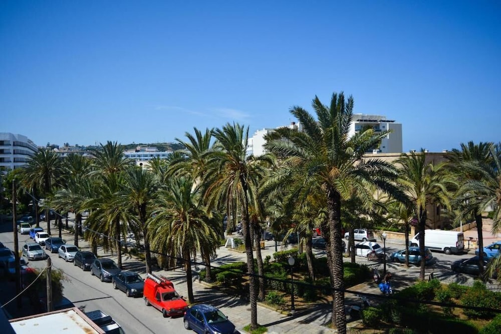 Cento Palme 35/41