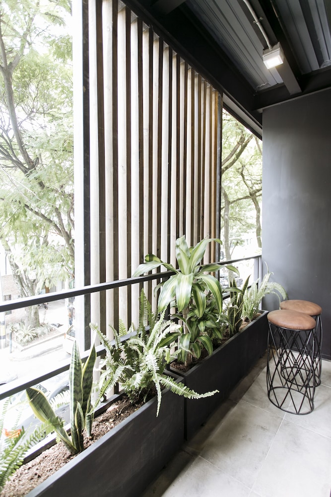 Soy Local Housetel 38/50